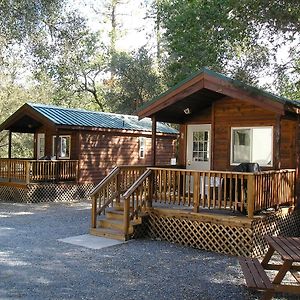 One-Bedroom Cabin